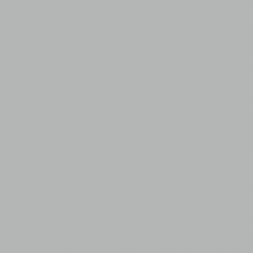 Light Suede Gray